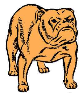 Honden plaatjes Bulldog 