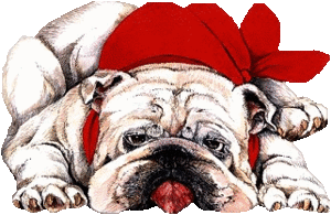 Honden plaatjes Bulldog 