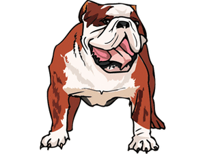 Honden plaatjes Bulldog 