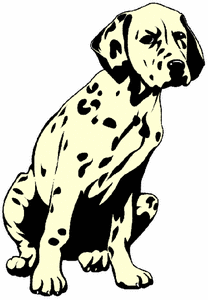 Honden plaatjes Dalmatier 