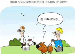 Honden plaatjes Honden grappig 