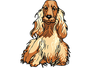 Honden plaatjes Spaniel 