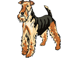 Honden plaatjes Terriers 