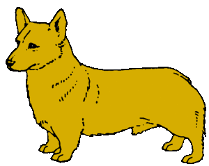 Honden plaatjes Welshcorgi 