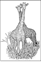 Giraffe Kleurplaat. Kleurplaten Giraffe Dieren kleurplaten 