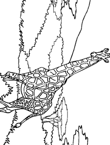 Giraffe Kleurplaat. Kleurplaten Giraffe Dieren kleurplaten 