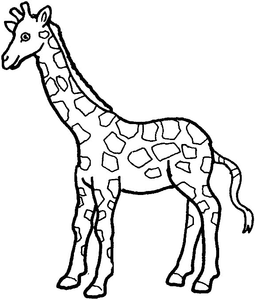 Giraffe Kleurplaat. Kleurplaten Giraffe Dieren kleurplaten 