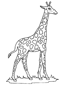 Giraffe Kleurplaat. Kleurplaten Giraffe Dieren kleurplaten 