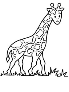 Giraffe Kleurplaat. Kleurplaten Giraffe Dieren kleurplaten 