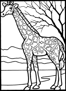 Giraffe Kleurplaat. Kleurplaten Giraffe Dieren kleurplaten 