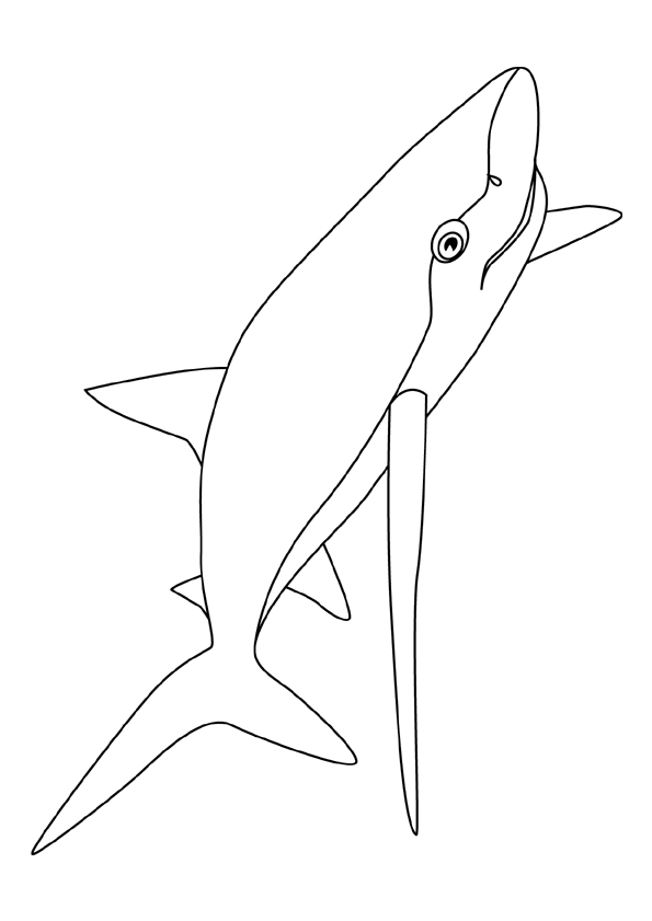 Haaien Kleurplaat. Haaien Kleurplaten Dieren kleurplaten 
