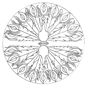 Mandala Kleurplaat. Kleurplaten Dieren kleurplaten Mandala 