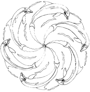 Mandala Kleurplaat. Kleurplaten Dieren kleurplaten Mandala 