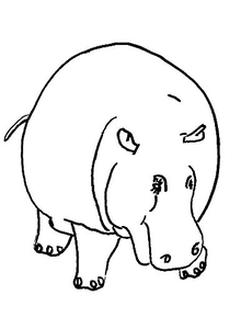 Nijlpaarden Kleurplaat. Nijlpaarden Kleurplaten Dieren kleurplaten 
