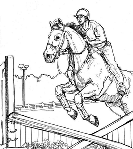 Paarden Kleurplaat. Paarden Kleurplaten Dieren kleurplaten 