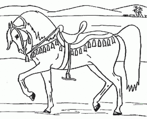 Paarden Kleurplaat. Paarden Kleurplaten Dieren kleurplaten 