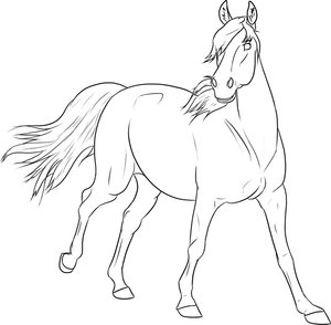 Paarden Kleurplaat. Paarden Kleurplaten Dieren kleurplaten 