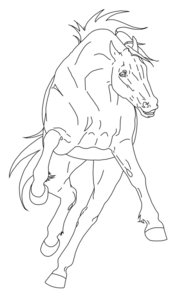 Paarden Kleurplaat. Paarden Kleurplaten Dieren kleurplaten 