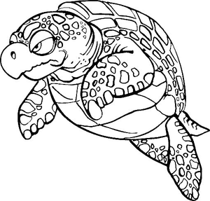 Schildpadden Kleurplaat. Schildpadden Kleurplaten Dieren kleurplaten 