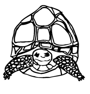 Schildpadden Kleurplaat. Schildpadden Kleurplaten Dieren kleurplaten 
