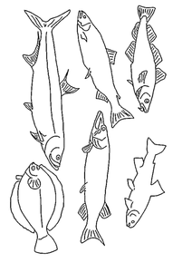 Vissen Kleurplaat. Vissen Kleurplaten Dieren kleurplaten 