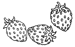 Groente En Fruit Kleurplaat. Kleurplaten Groente en fruit 