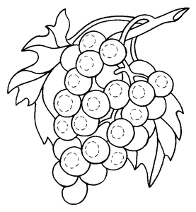 Groente En Fruit Kleurplaat. Kleurplaten Groente en fruit 