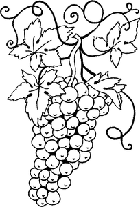 Groente En Fruit Kleurplaat. Kleurplaten Groente en fruit 