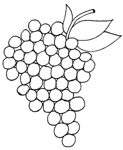 Groente En Fruit Kleurplaat. Kleurplaten Groente en fruit 