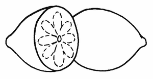 Groente En Fruit Kleurplaat. Kleurplaten Groente en fruit 