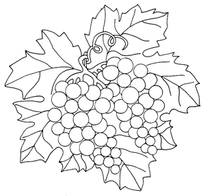 Groente En Fruit Kleurplaat. Kleurplaten Groente en fruit 