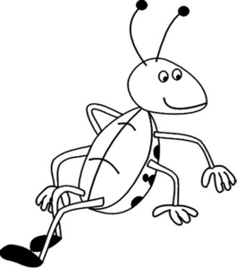 Insecten Kleurplaat. Insecten Kleurplaten 