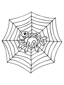 Insecten Kleurplaat. Insecten Kleurplaten 