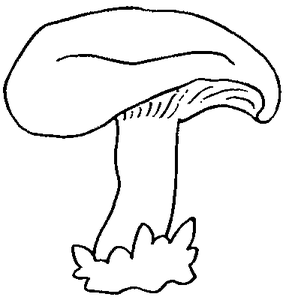 Paddestoelen Kleurplaat. Paddestoelen Kleurplaten 