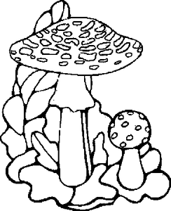 Paddestoelen Kleurplaat. Paddestoelen Kleurplaten 