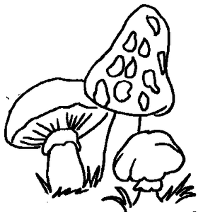 Paddestoelen Kleurplaat. Paddestoelen Kleurplaten 