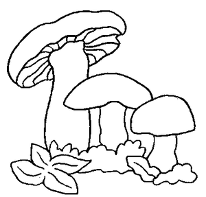 Paddestoelen Kleurplaat. Paddestoelen Kleurplaten 