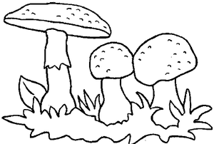 Paddestoelen Kleurplaat. Paddestoelen Kleurplaten 