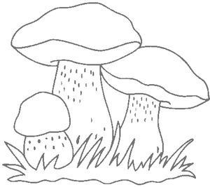 Paddestoelen Kleurplaat. Paddestoelen Kleurplaten 