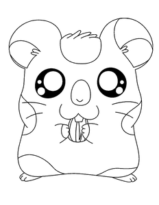 Hamtaro Kleurplaat. Hamtaro Kleurplaten Tv series kleurplaten 