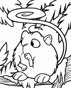 Neopets Kleurplaat. Neopets Kleurplaten Tv series kleurplaten 