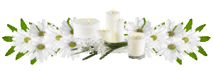 Lijnen Bloemen en natuur Bloemenlijn Wit Met Kaarsen