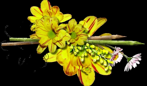 Lijnen Bloemen en natuur Bloemenlijn Geel