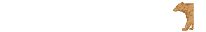 Dieren Lijnen 
