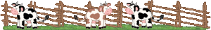 Dieren Lijnen 