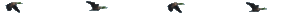 Dieren Lijnen 