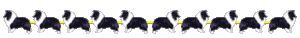 Dieren Lijnen 
