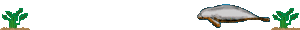 Dieren Lijnen 