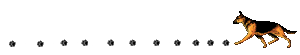 Dieren Lijnen 