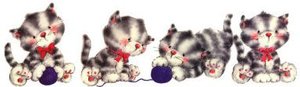 Katten Lijnen 